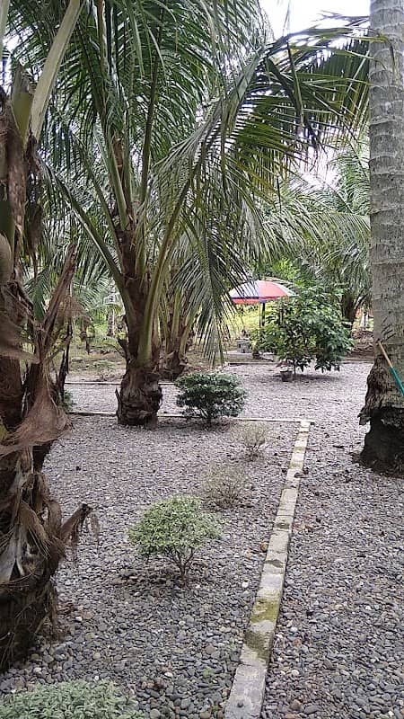 Pondok Kelapa Sifa - Image 1
