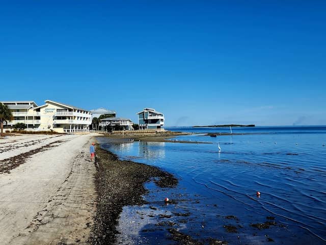 Lil Shark Park - Image 2