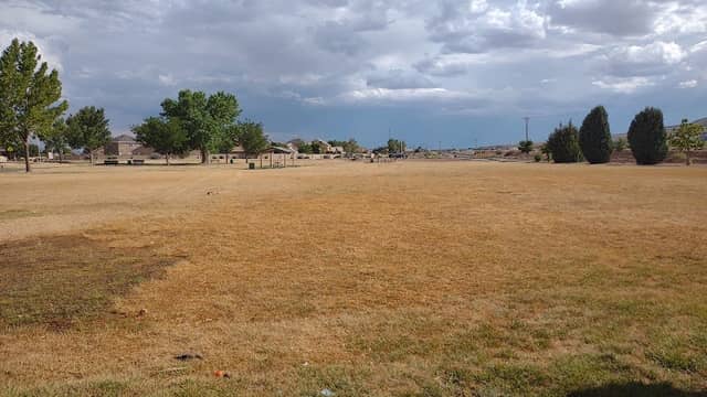 Los Cerritos Park - Image 1