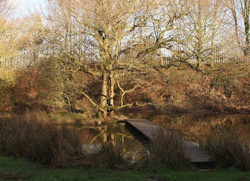Gorse Hill Nature Reserve - Image 1