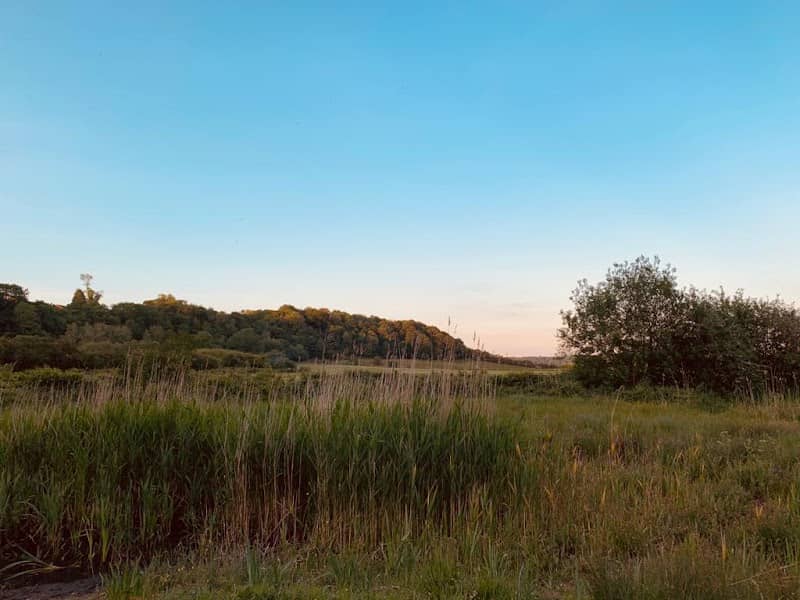 Fishwick Local Nature Reserve - Image 2