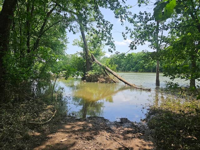 Frog Bayou WMA Lower Parking - Image 1