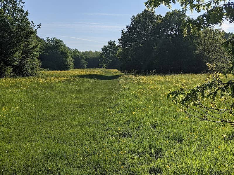 Cornmill Meadows - Image 1