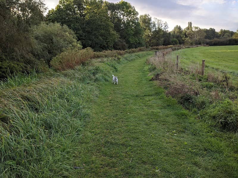 Cornmill Meadows - Image 2
