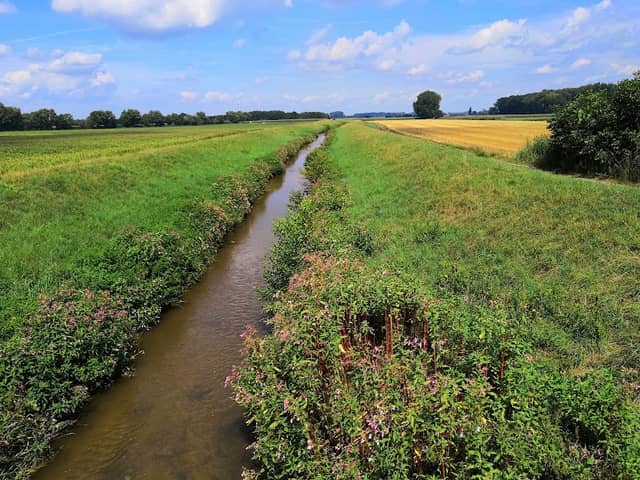 Weschnitz Island of Lorsch - Image 1