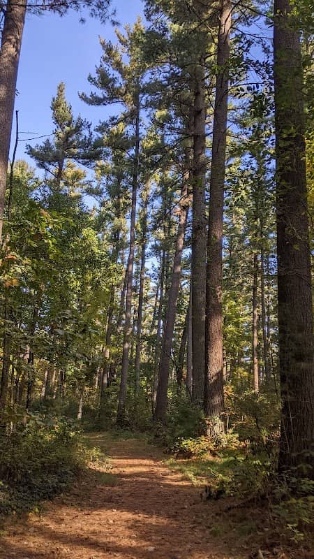 Muskego Park - Sailors Pines - Image 1