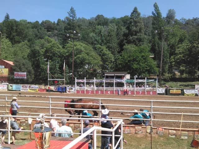 Mother Lode Fairgrounds - Image 2