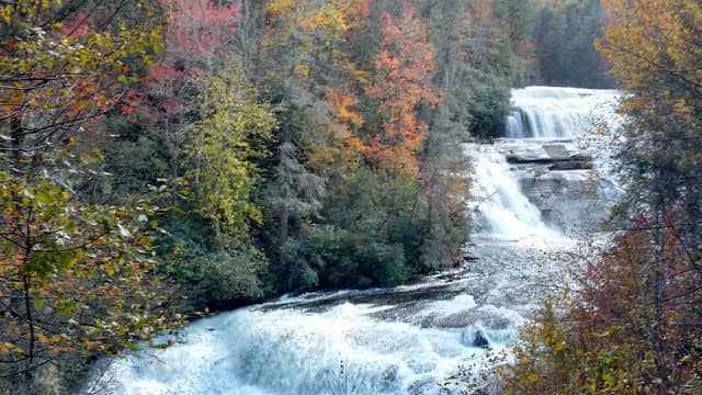 DuPont State Recreational Forest - Image 2