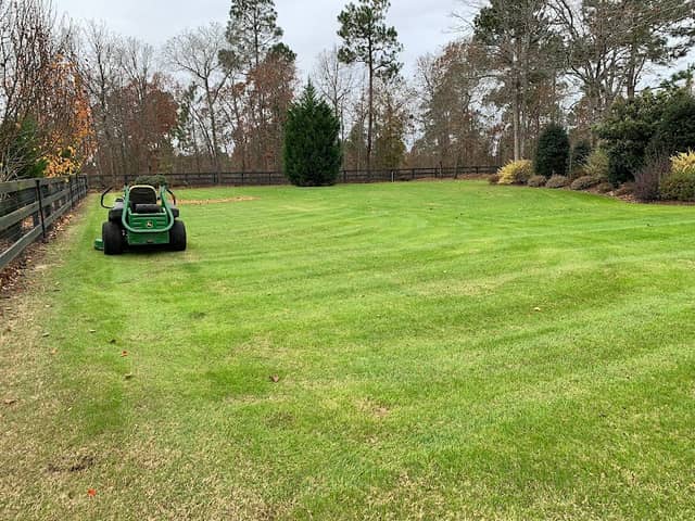 Rojas Santiago Landscaping - Image 1