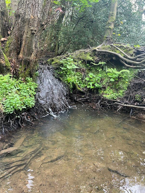 Cobbs Clough - Image 1