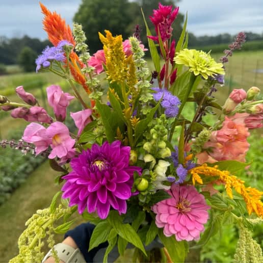 Medley Family Farms - Image 1