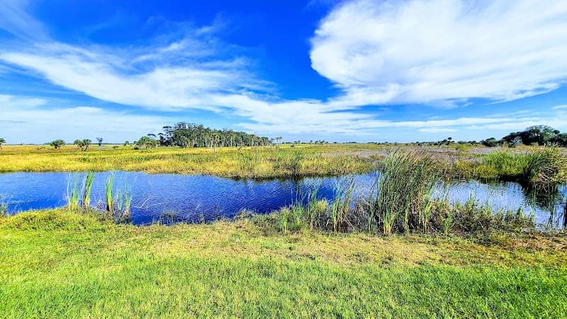 Kissimmee Prairie Preserve State Park - Image 2