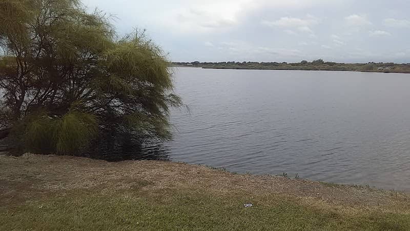 Bayou City Park - Image 2