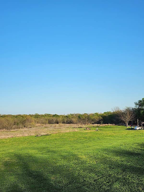 Brushy Creek MX - Image 1