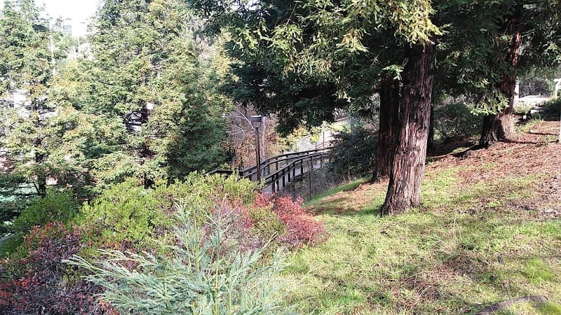 Bushy Dell Creek - Image 1
