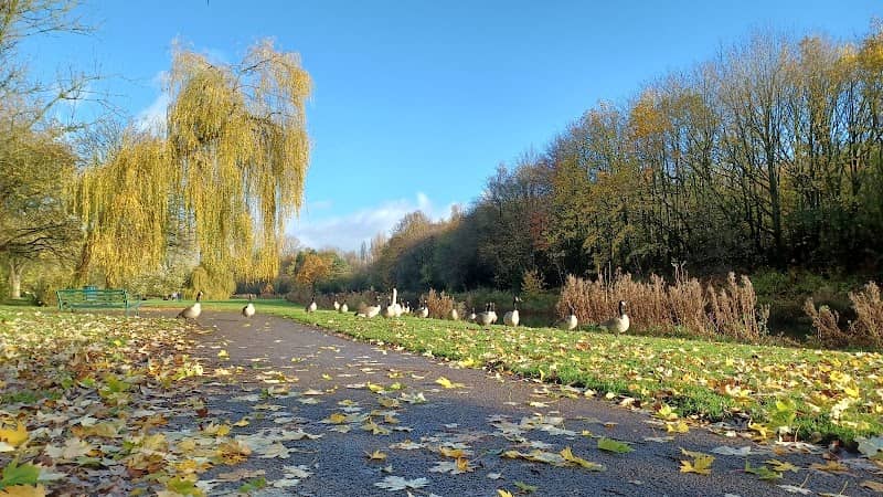 Sankey Valley Park - Image 2