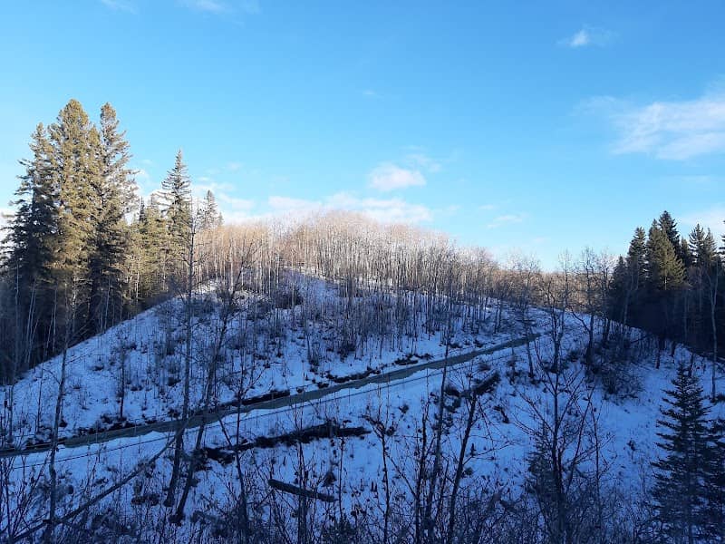 Weaselhead, North Glenmore Park - Image 2