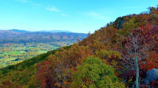 Buffalo Mountain Park - Image 2