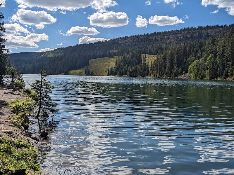 Island Lake - Image 1