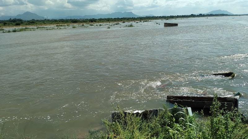 Palar River view - Image 1