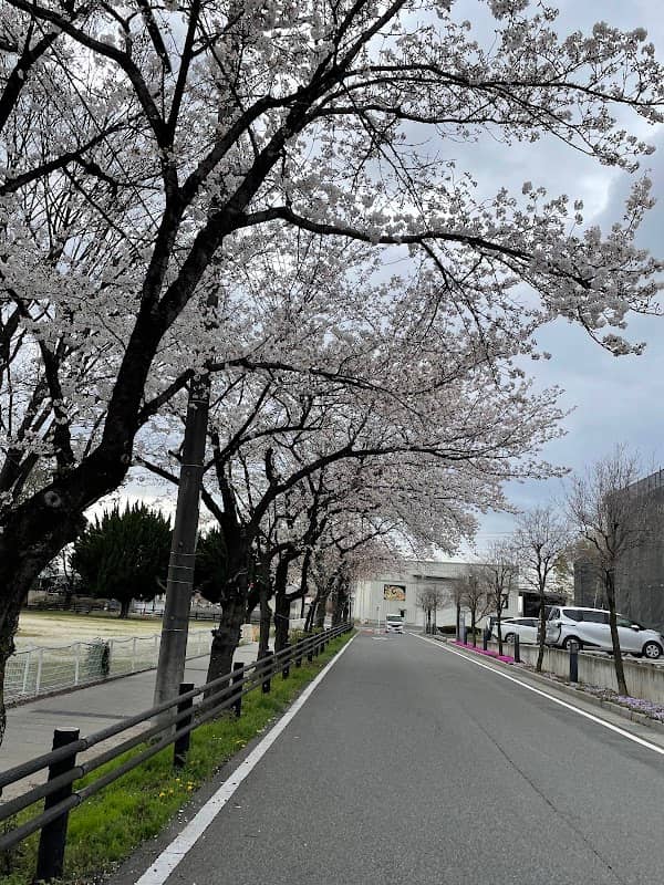 Ojima Park - Image 1