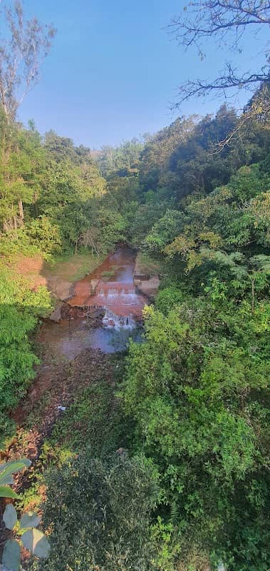 Bhadra River Lakya confluence point - Image 2