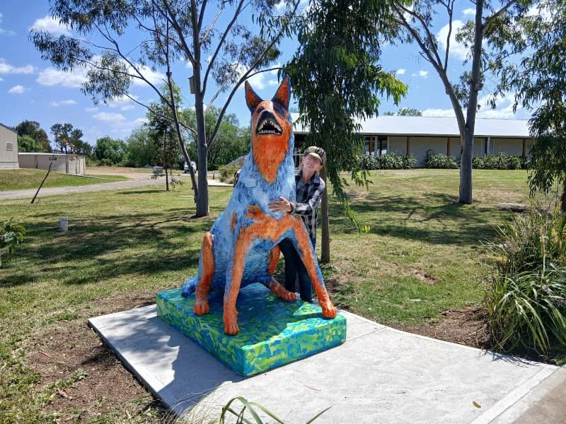 Original Big Blue Heeler - Image 1