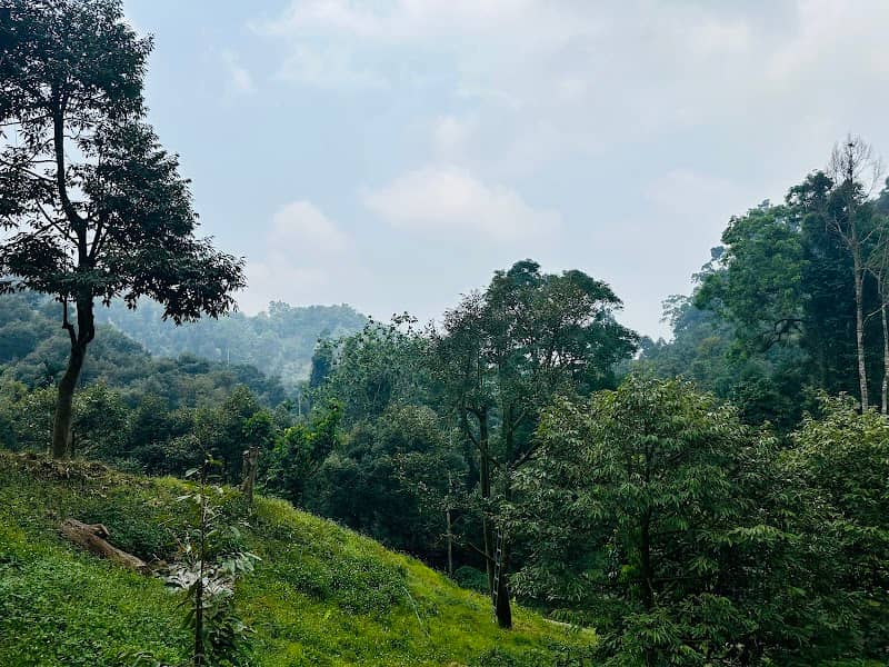 สวนทุเรียน-เจริญสุข - Image 1