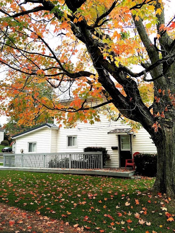 Smythe Park - Image 3