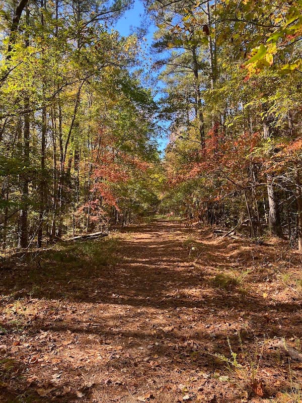 Hanging Rock Battleground Property - Image 2