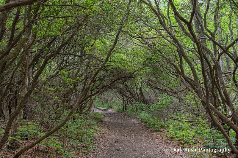 Pink Beds Trail Loop - Image 1