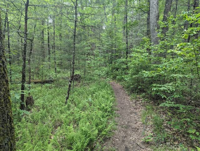 Pink Beds Trail Loop - Image 2