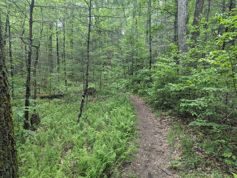 Pink Beds Trail Loop - Image 2