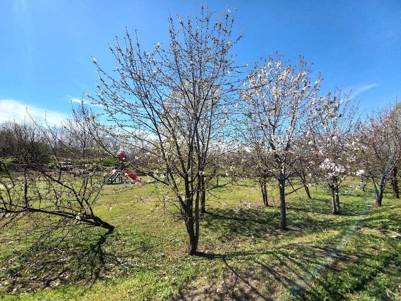 Parco Agostino Gallo - Image 2