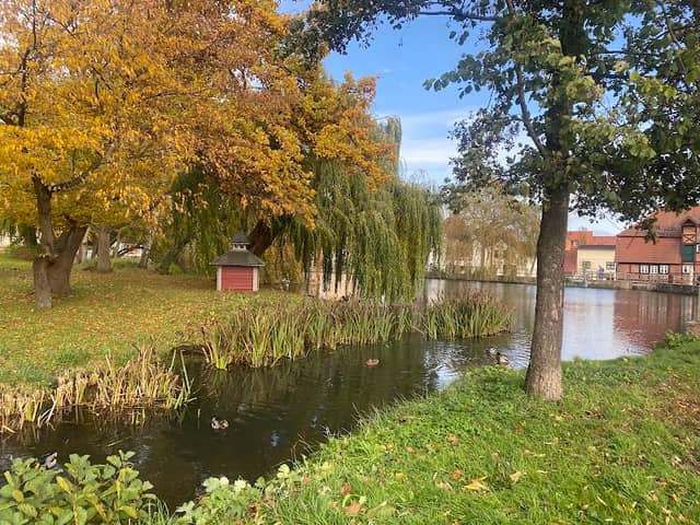 Parkanlage am Schulkamp - Image 1