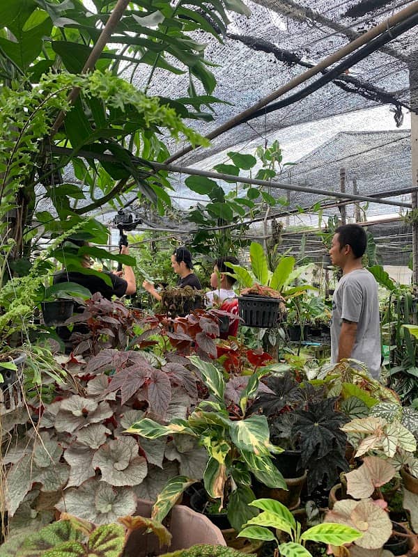 About de Plants - Image 2