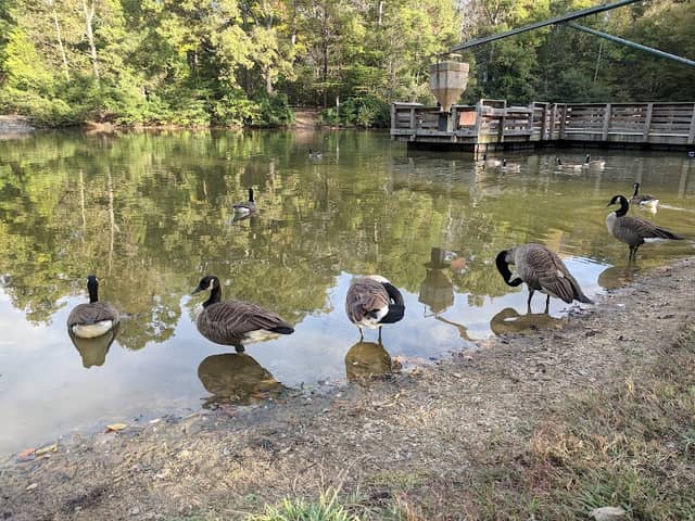 Squirrel Lake Park - Image 1