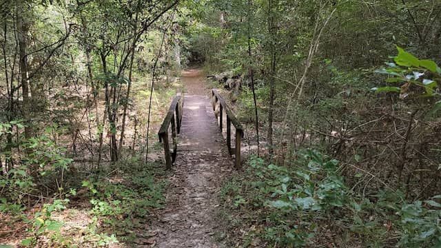 Big Creek Scenic Area - Image 2