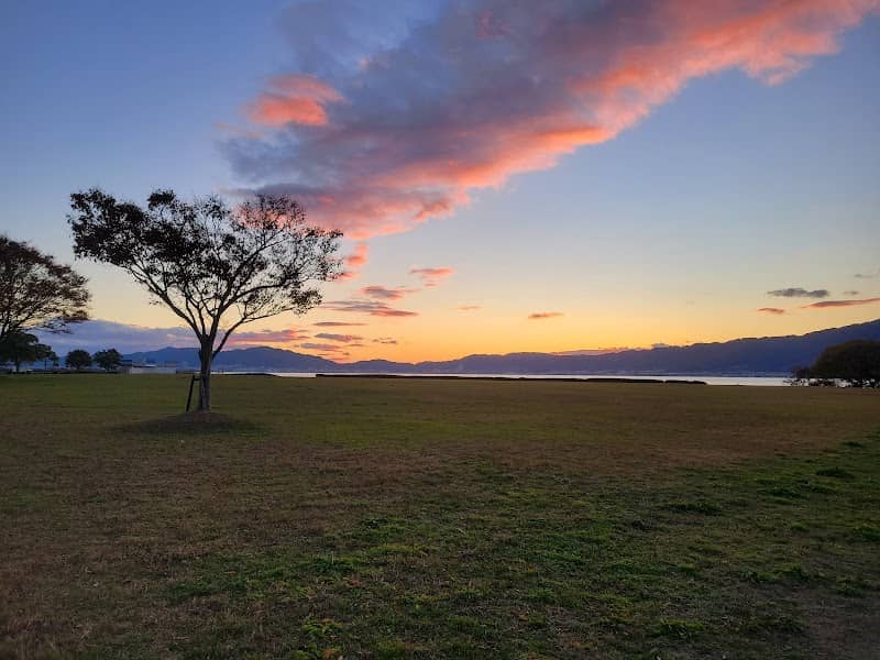 Grass Field - Image 1