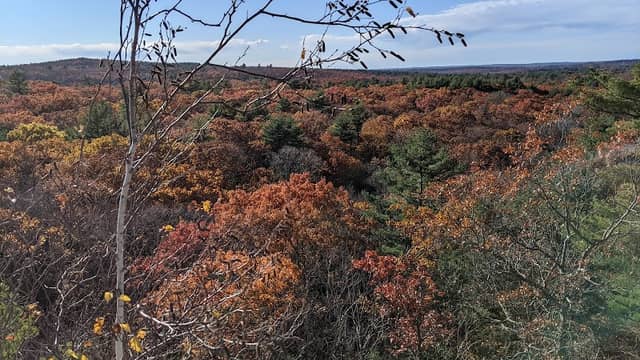 Blue Hills - Skyline Trail - Image 3
