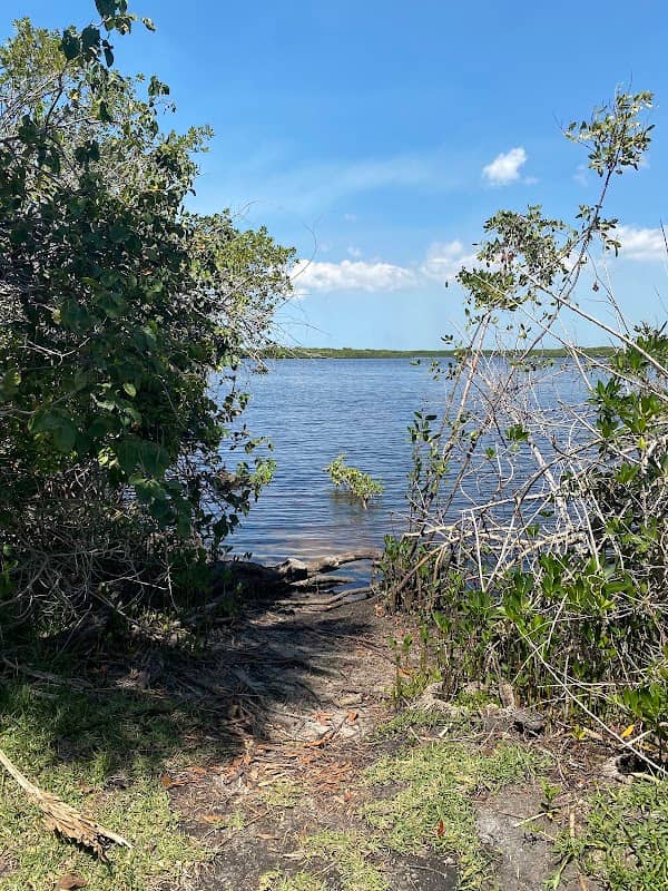 Myakka State Forest - Mangrove Campsite - Image 2