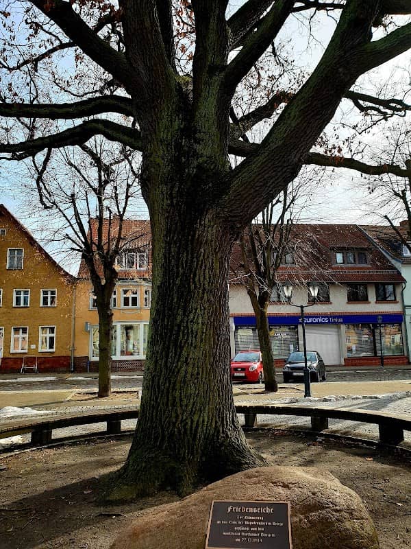 Alte Eiche - Image 1