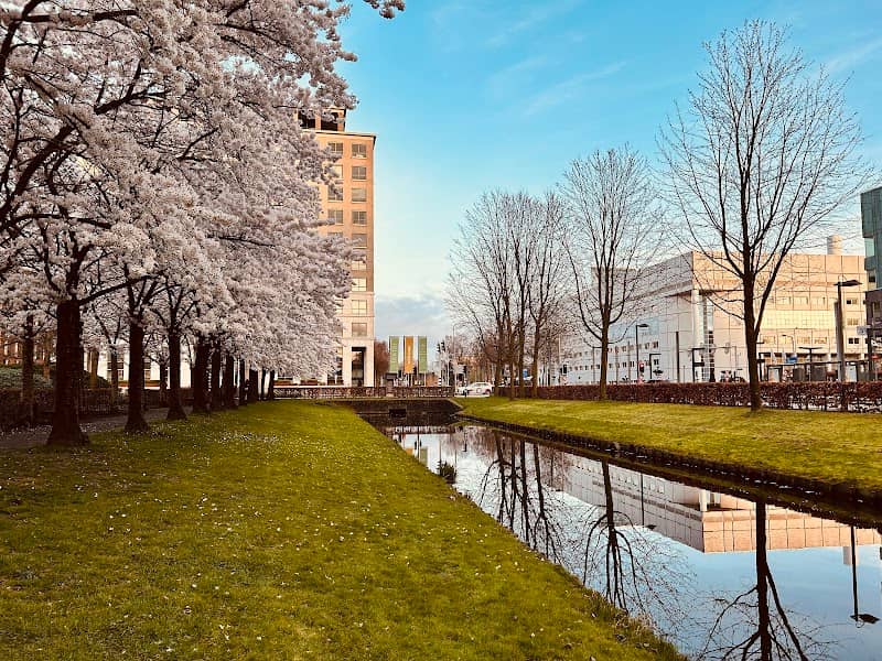 Cherry Blossom canal - Image 1
