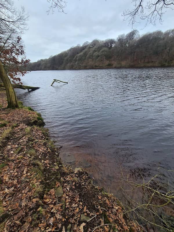 George's Coppice - Image 1