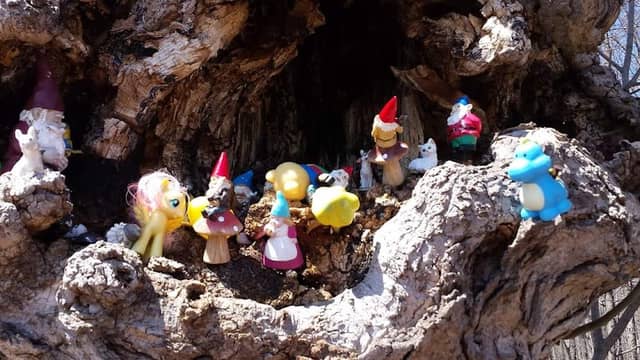 Fairy Tree - Image 2
