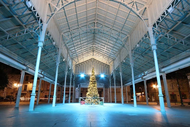 Halle Métallique - Image 1