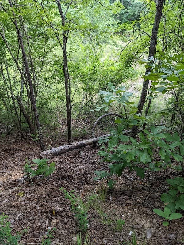 Hernando Trailhead - Image 2