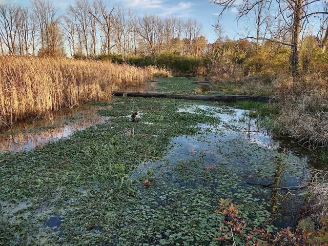 Beaver Lodge - Image 2