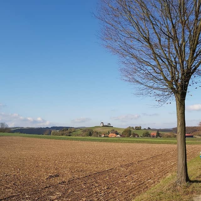 Teimer Nature Reserve - Image 1