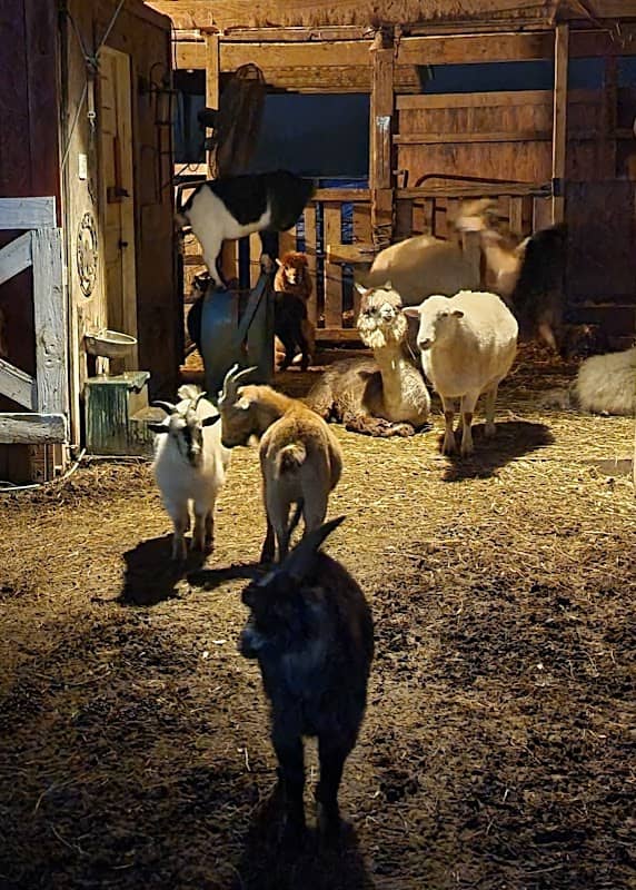 Goula Paradise Farms - Image 1